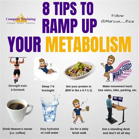 How to Get a Fast Metabolism