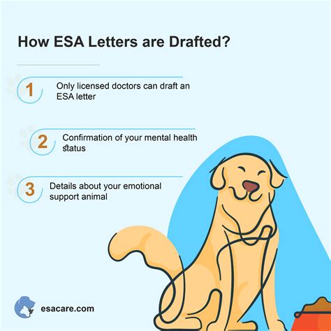 How to Get an ESA Letter