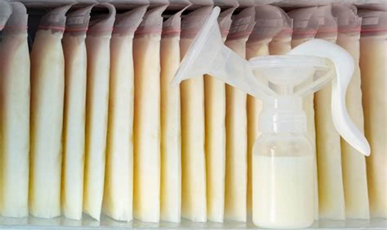 How to Pump & Store Breast Milk (Video)