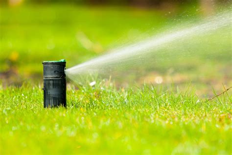 How to Select the Right Sprinkler Head?