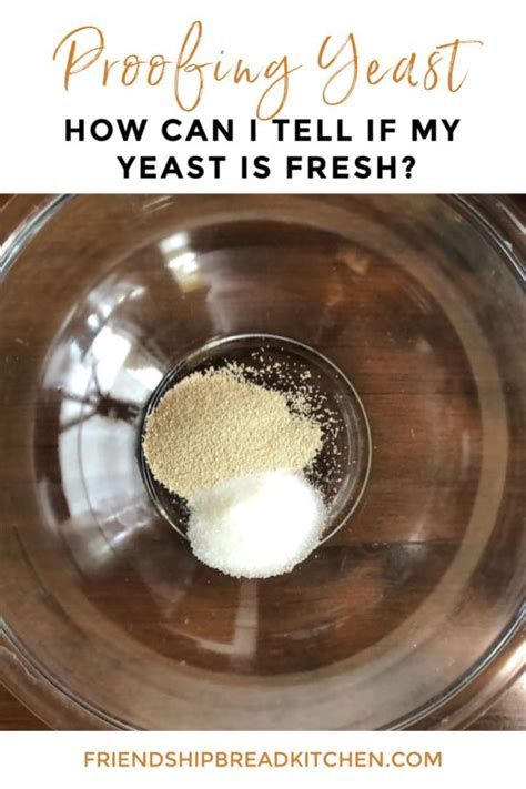 How to Test Yeast