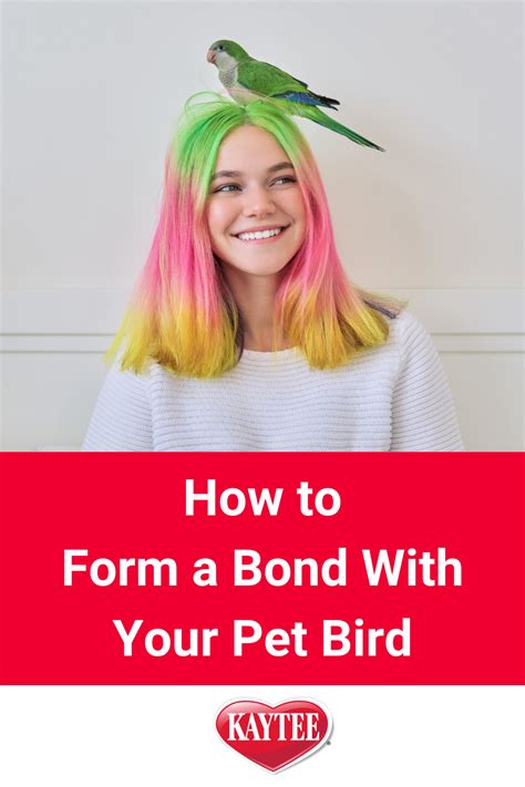Be your bird's best friend and form a bond with these tips. Love