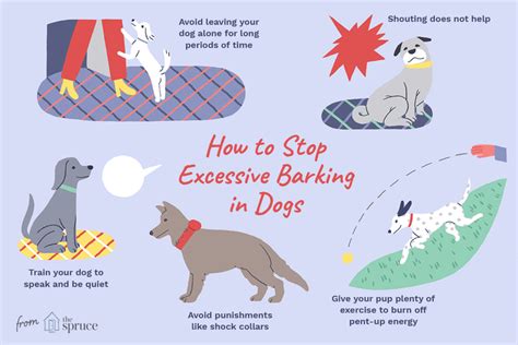How to Get Your Dog to Stop Barking at Night Time Good Doggies Online
