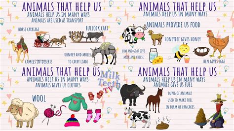 How Animals Help Us In Farming
