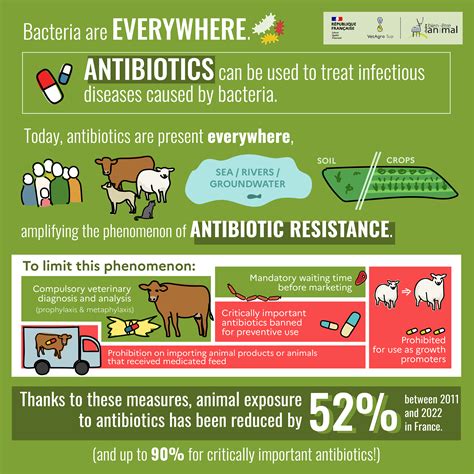 How Antibiotics Work On Farm Animal