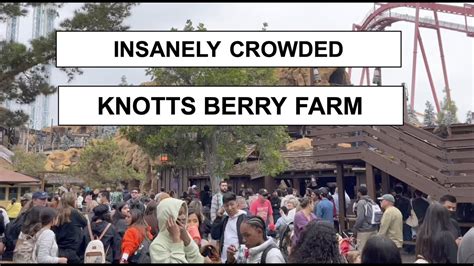 How Busy Is Knott'S Berry Farm Today