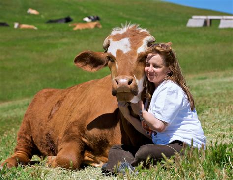 How Can Animal Lovers Own A Farm