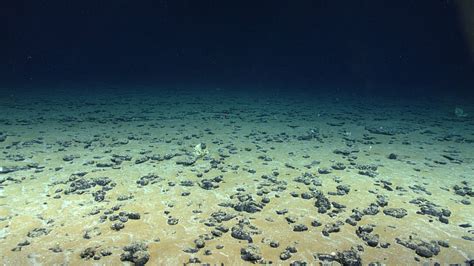 How Deep Is The Deepest Ocean Floor