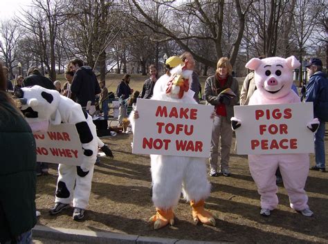 How Did The Animals Protest In Animal Farm