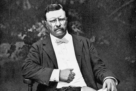 How Did Theodore Roosevelt Change the Conception of the Presidency?