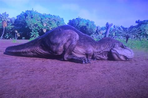 How Did Tyrannosaurus Rex Sleep