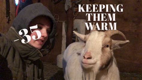 How Do Farm Animals Keep Warm In Winter