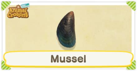 Unlock the Secret of How to Obtain a Mussel in Animal Crossing with These Tips