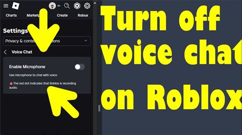 How Do I Turn Off Voice Chat In Roblox
