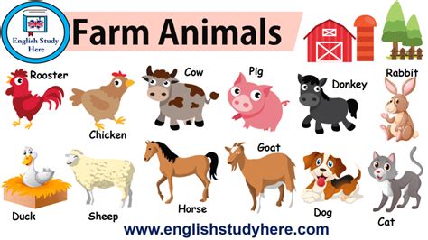 How Do The Animals Feel About Their Farm