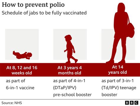 How Do Vaccines Work to Stop Polio