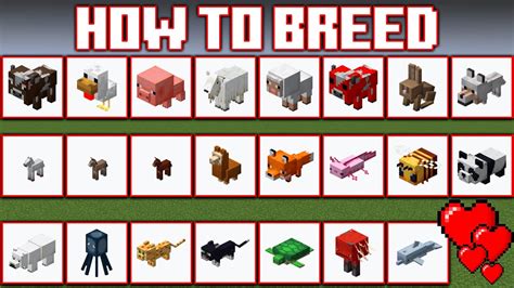 How Do You Breed Farm Animals In Minecraft