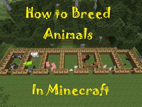 How Do You Breed Farm Animals In Minecraft