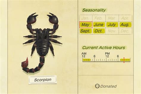 How Do You Farm Scorpions In Animal Crossing