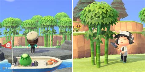 Discover How to Obtain Bamboo in Animal Crossing: A Comprehensive Guide
