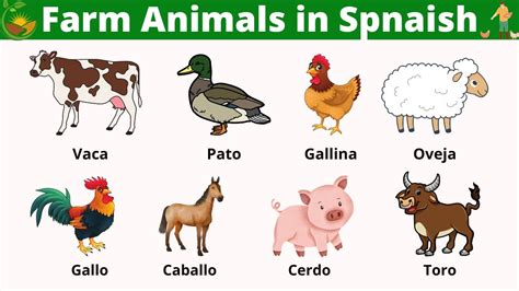 How Do You Say Fried Farm Animal In Spanish