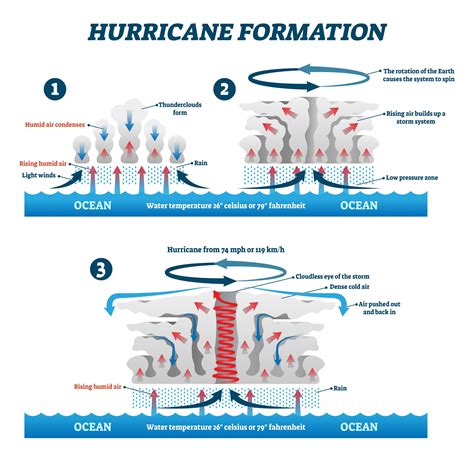 How Hurricanes Form: Understanding the Science Behind Them