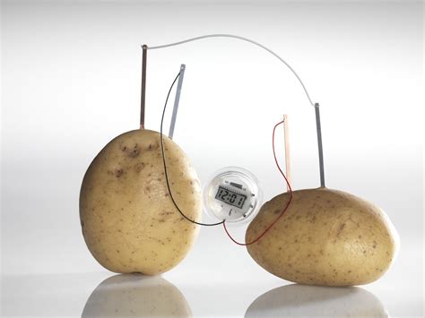 Unleashing the Magic of Nature: The Fascinating Story Behind How a Simple Potato Can Power a Clock