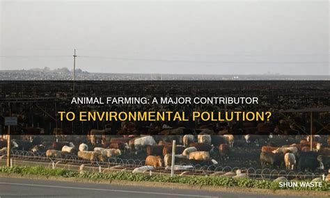 How Does Animal Farming Cause Pollution