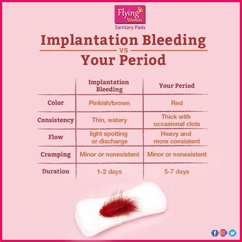 How Does Implantation Bleeding Look Like Picture