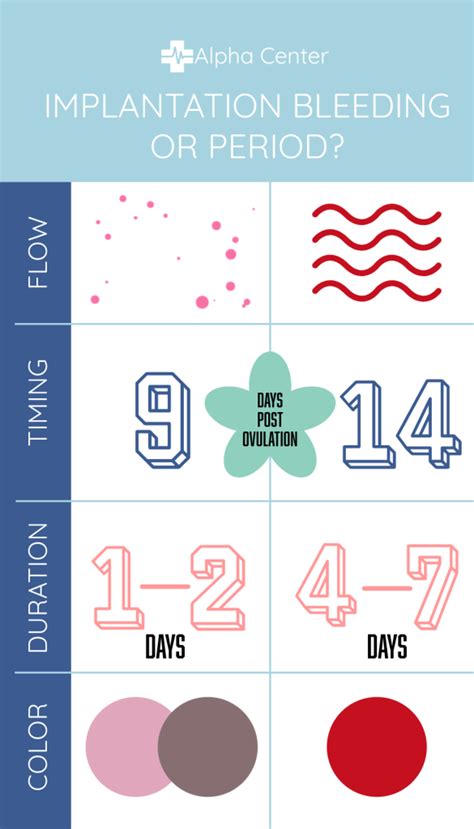 How Does Implantation Blood Look