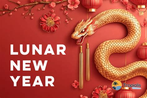 Exploring the Layers of Lunar New Year: An Insight into the Tradition, Significance and Celebrations