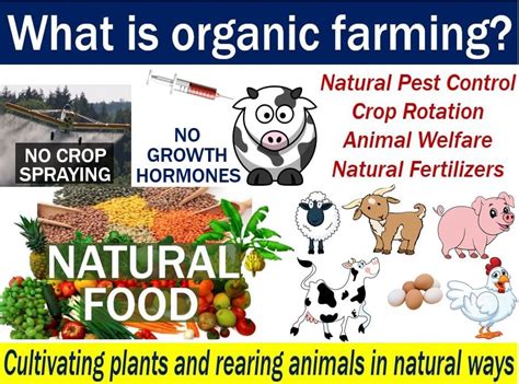 How Does Organic Farming Help Animals