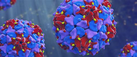 How Does Poliovirus Spread