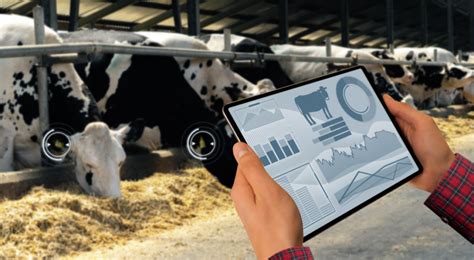 How Does Technology Help With Animal Farming