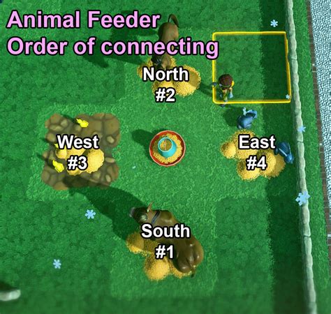How Does The Animal Feeder Work In Farm Together