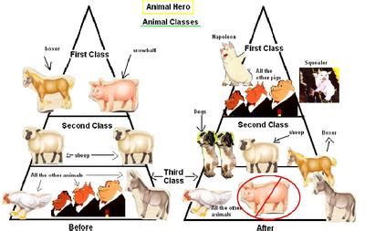 How Does The Animals Seating Change In Animal Farm