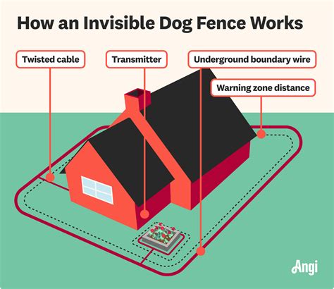 How Does a Wireless Dog Fence System Work?