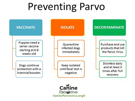 How Does the Parvo Vaccine Work