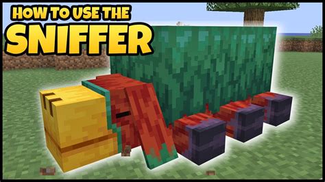 How Does the Sniffer Work in Minecraft
