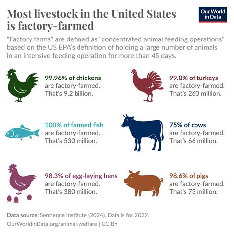How Factory Farms Maintain Animal Health