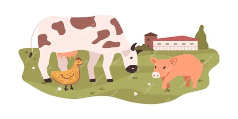 How Farm Animals Strain Natural Resources