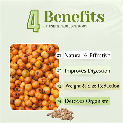 How Fast Does Tejocote Root Work