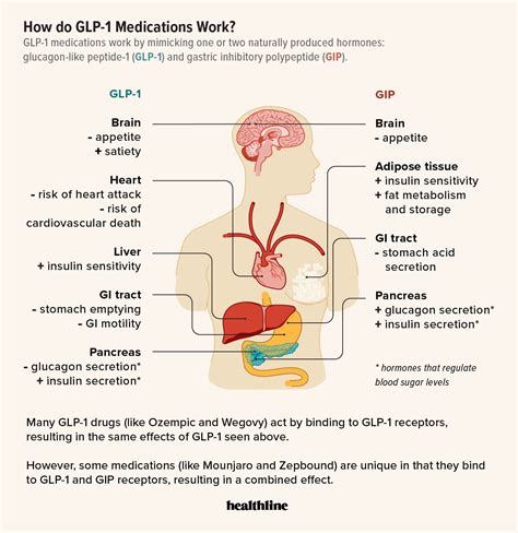 How GLP-1s Help Manage Diabetes