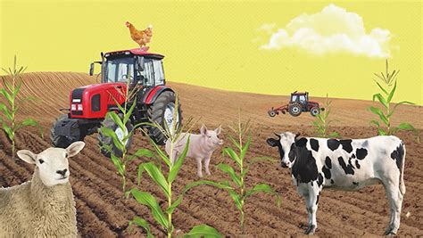 How Has Farming Changed Over Time Animal Farm
