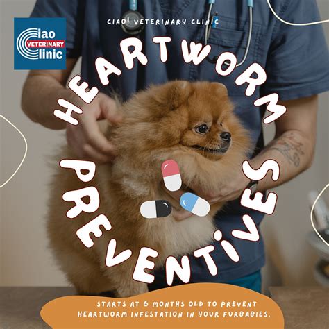 How Heartworm Preventives Actually Work