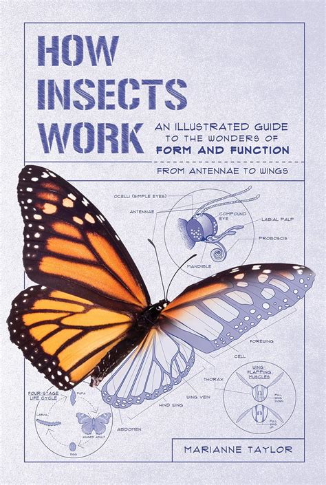 How Insects Work: An Illustrated Guide To The Wonders Of Form And Function From Antennae To Wings