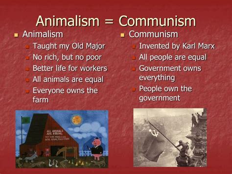 How Is Animalism Like Communism In Animal Farm