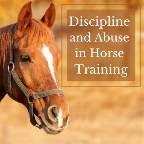 How Is Discipline Maintained In Animal Farm
