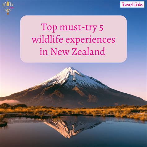 Discovering Life in New Zealand: Exploring its Landscapes, People, and Culture