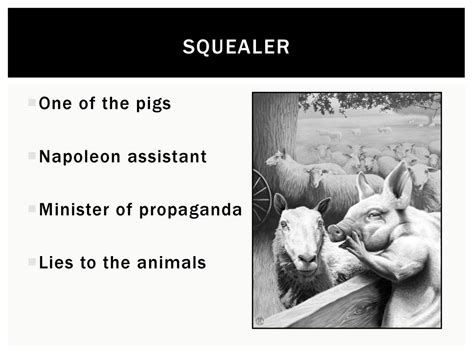 How Is Squealer Represent In Animal Farm